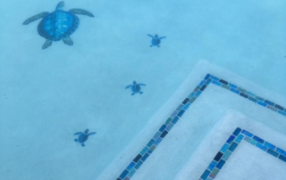 Finest Finish Sparkle Quartz White Pool steps with turtle tile detail