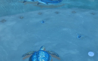 Sparkle Quartz Laguna - with turtle and fish tile detail