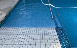 Sparkle Quartz Lakeside pool with white tile baja ledge and handrail