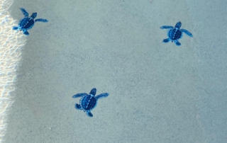 Sparkle Quartz tropical baja shelf with blue turtle motif