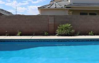 Finest Finish Sparkle Quartz Lakeside Pool edge with tile detail
