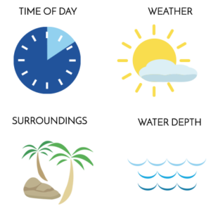 Image of factors that affect pool reflection color