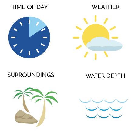 factors-time-of-day-weather-surroundings-depth Image of factors that affect pool reflection color